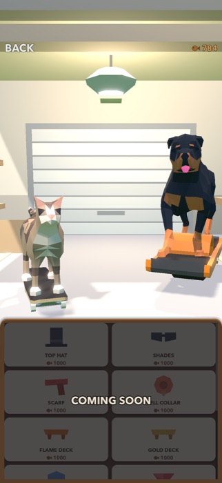 The garage, with the cat and the dog on their boards and a shelf of cosmetics below.