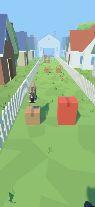 The cat mid-jump over a cardboard box on a fenced lawn.