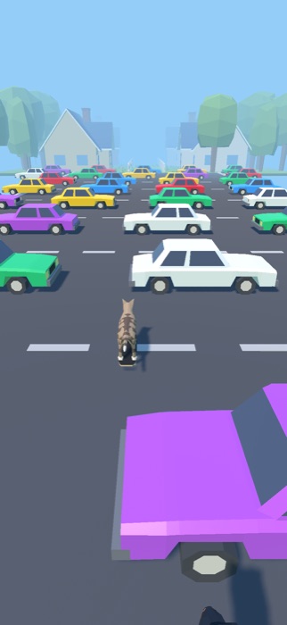 The cat on its board in the middle of a busy road, cars passing both ways.